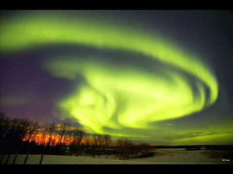 Ali Wilson - Phenomenon (Original Mix)