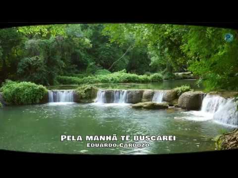 Pela Manhã te Buscarei - Eduardo Cardozo