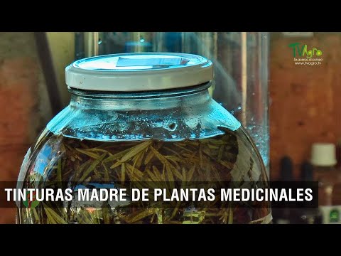 Tinturas madre de plantas medicinales - TvAgro por Juan Gonzalo Angel Restrepo