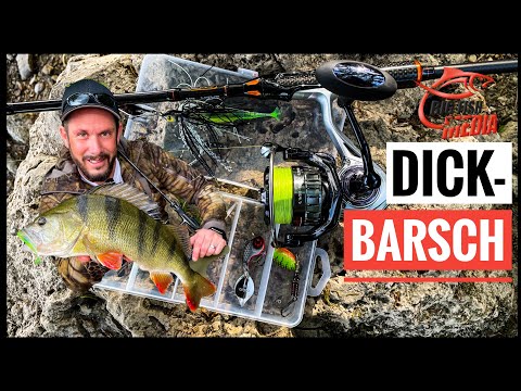 Dickbarschalarm - Christian unterwegs auf Raubfisch