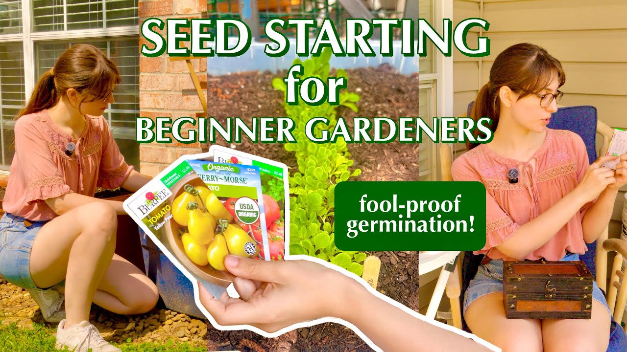 at home seed starting | 3 easy methods