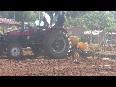 tatu marchesan, t2si, case ih