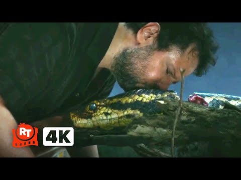 アナコンダ (2025) 4K - スネーク・ファネル・ソング | Movieclips (Anaconda (2025) 4K - The Snake Funeral Song | Movieclips)