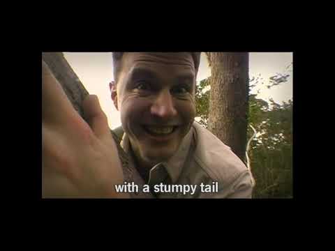 Colin Buchanan - The Old Black Crow ORIGINAL CLASSIC CLIP