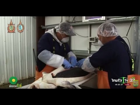 การทดสอบที่แรงต่ำ หินสำหรับความอ่อนแอ