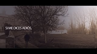 Lluis Llach   Que Tinguem Sort (subtitulada en español)