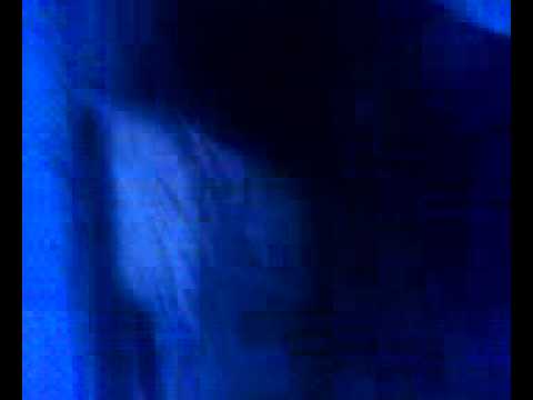 La facut nocaut bute