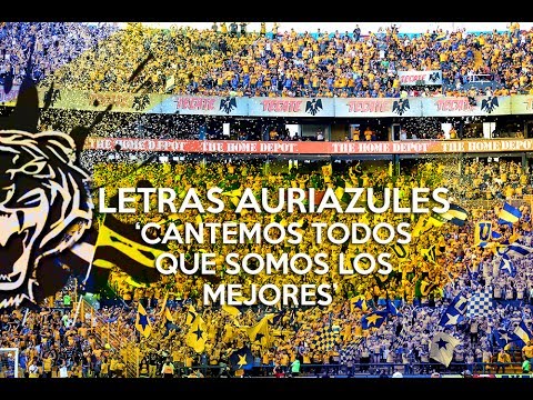 "Cantemos todos que somos los mejores a nivel de cancha" Barra: Libres y Lokos • Club: Tigres