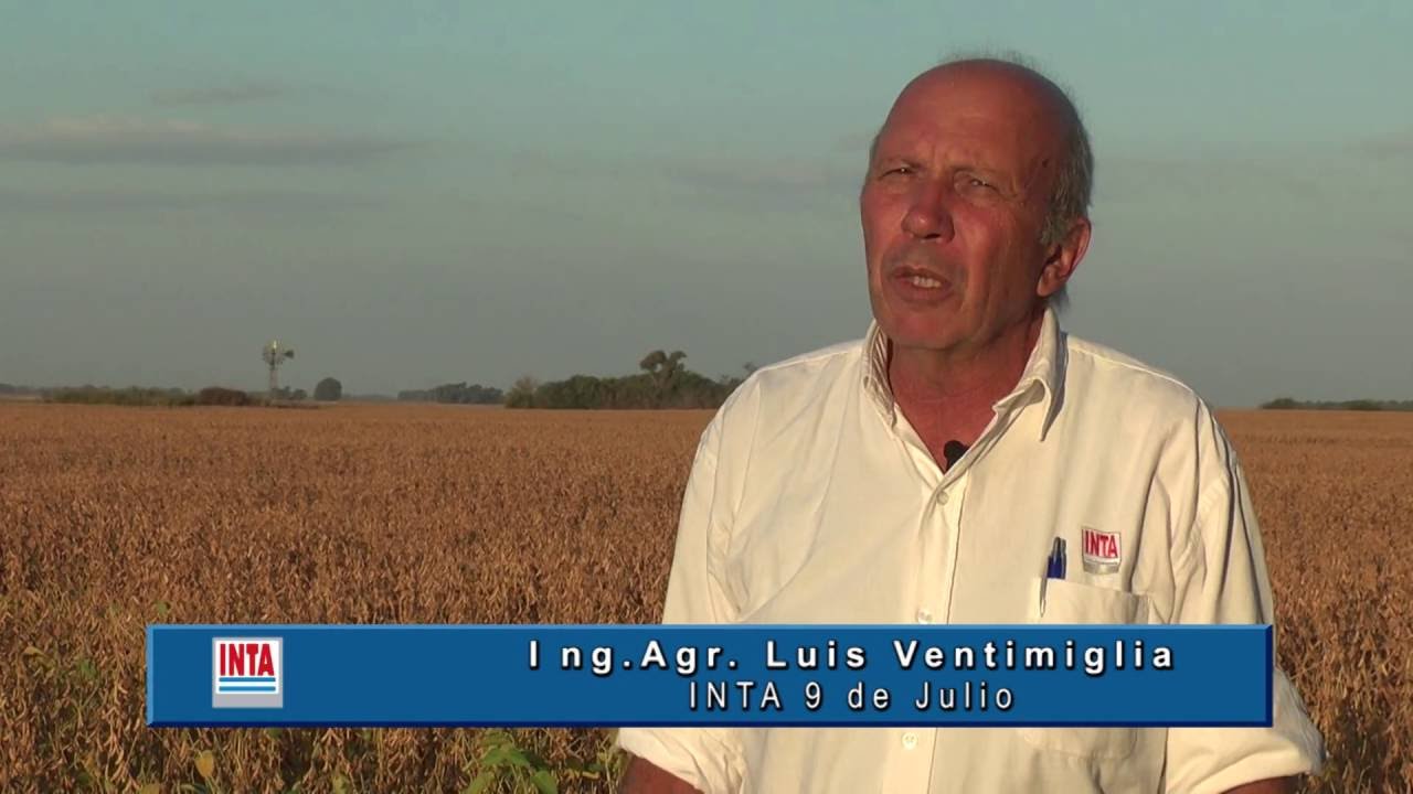 Barley: Production according to planting date