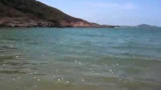 Tartaruga Marinha na Praia do Ermitão