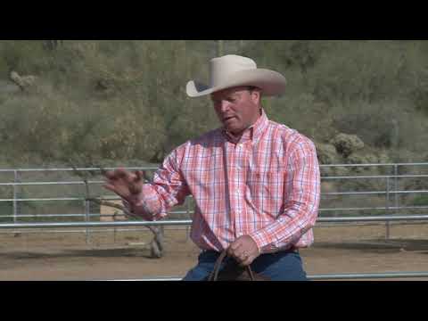 Teaching Your Horse Speed Control