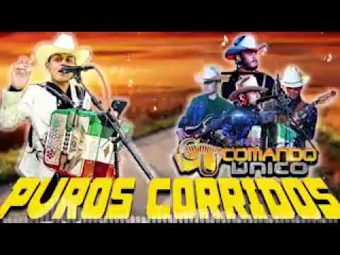 🔥 COMANDO UNICO- CLAVE PRIVADA, MARGARITA MARGARITA, 40 CARTAS, Y MAS - MEJORES CANCIONES EN VIVO 🎶🎶