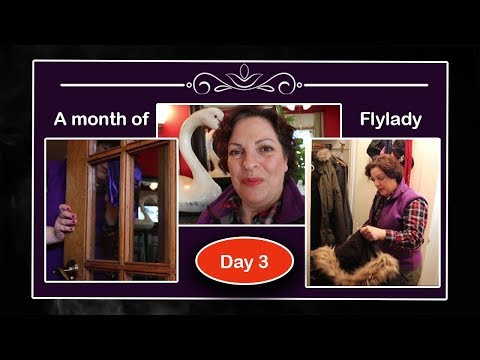 ⏱️  A Month of FlyLady Cleaning and Decluttering || 02/03/19  || Day 3 ⏱️