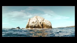 Zoufris Maracas - Pacifique [Clip officiel]