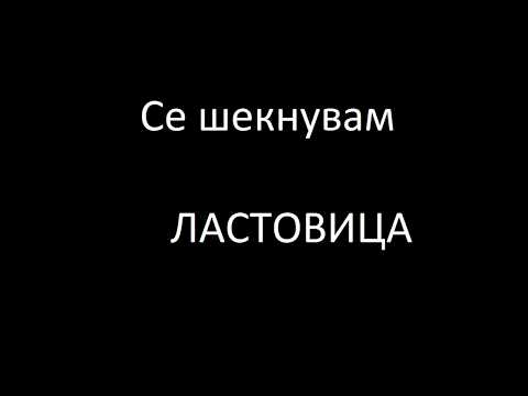 Se seknuvam   Lastovica