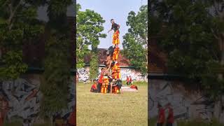 Download lagu Atraksi Reog Ponorogo #shorts #reog #ponorogo mp3