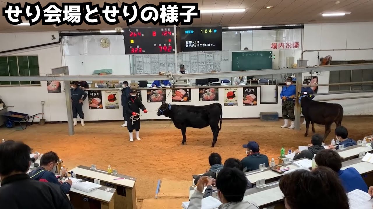 牛肉をつくる仕事　子牛せりのサムネイル