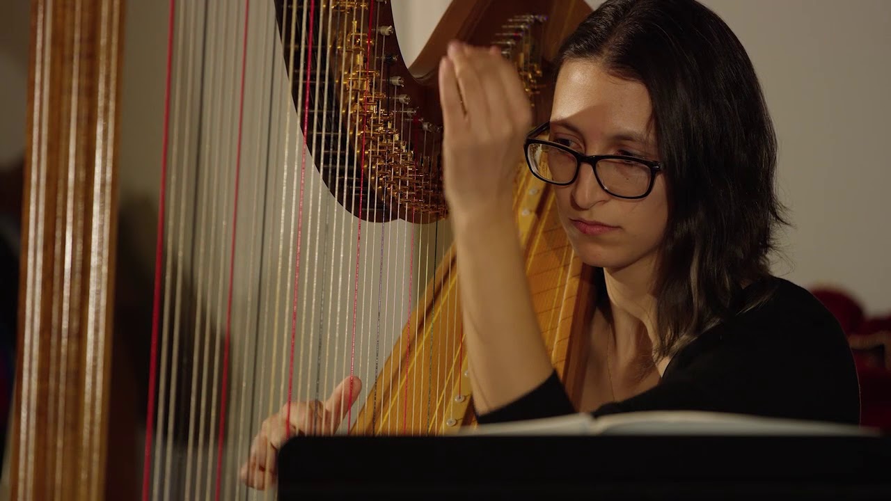 Promotional video thumbnail 2 for Kathryn Sloat, Harpist