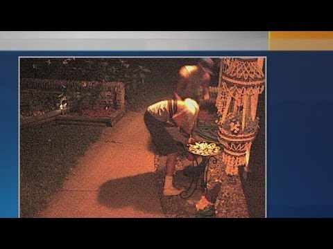 Gnome funny business: Thieves get away with 70 pound gnomes
