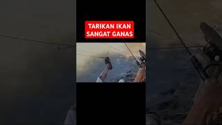 Download lagu Penghuni Muara sangat mengerikan 😱 mp3