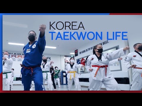Miniature du reportage Korea Taekwon Life