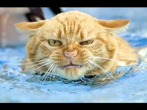 Swedish House Mafia vs Martin Solveg vs Bob Marley