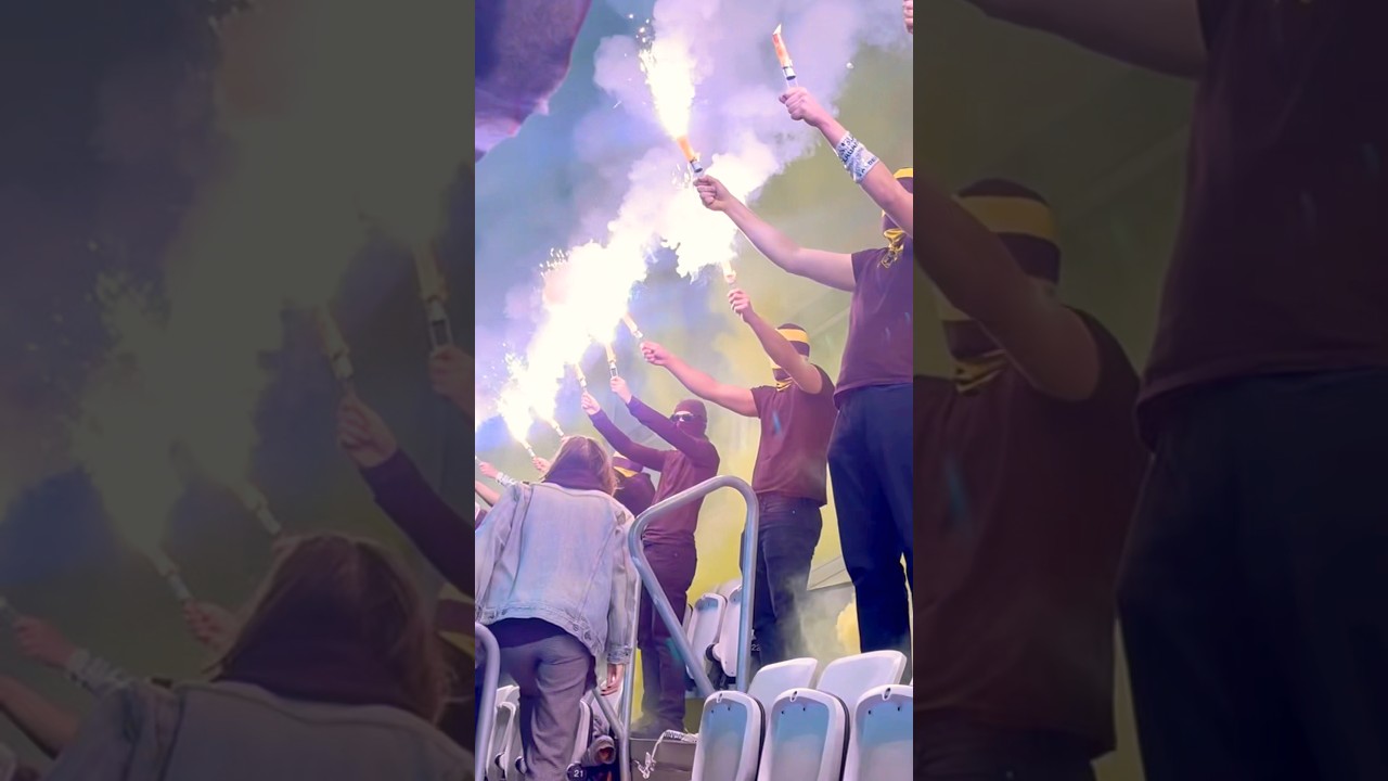 AIK:s tifo DIF derbyt  🖤💛#AIK #Tifo #stockholmsderby #Ultras  #Gnaget #pyro #bangaler#AIKtifo #dif