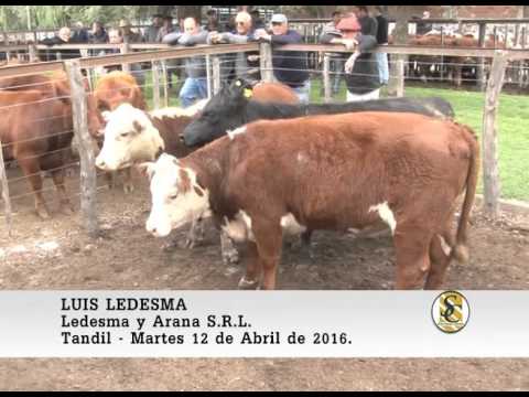 12-04-16 Nota Luis Ledesma - Ledesma y Arana S.R.L. - Tandil.