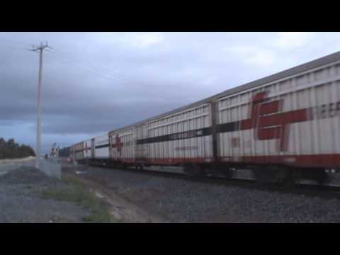 Freight and passenger holding the gates - Vline and SCT at Lara