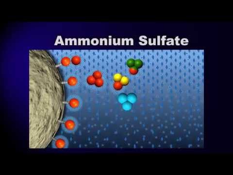 Bioprocessing Part 3: Purification