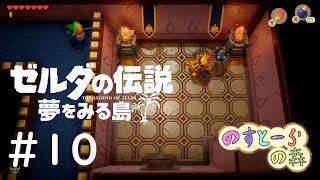 【2人実況】白昼にゼルダの伝説【夢をみる島】＃10