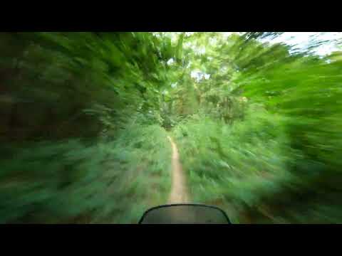 Boschi Rivalta/Villarbasse 2 (24fps)