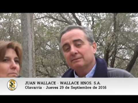 29-09-16 - Juan Wallace - Wallace Hnos  S.A.