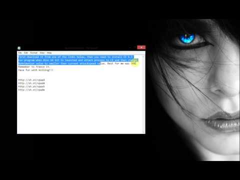 AION 4.75 No Animation Hack