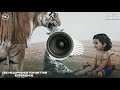 Poogaavanathill Paadum Ayyappan Devotional Song Kalabhavan Mani Bass Boosted Basscorner
