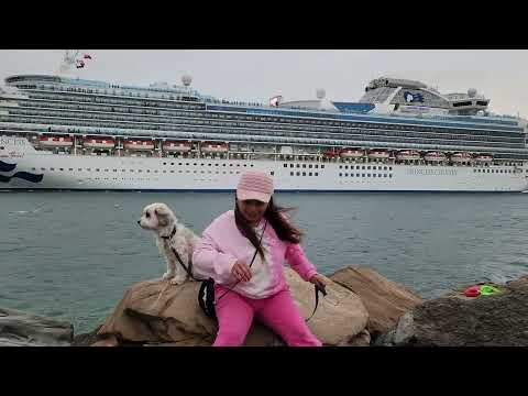 Thumbnail for Diamond Princess sailing away from Adelaide with Mitzi and Riley enjoying Arlene.