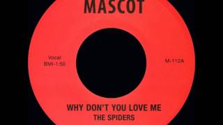 The Spiders - Why Don&#39;t You Love Me