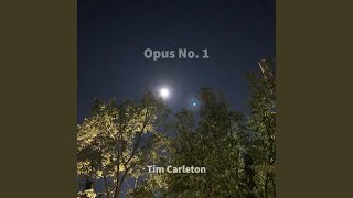 Musik-Video-Miniaturansicht zu Opus No 1 Songtext von Tim Carleton
