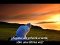DIONYSUS - FOREVER MORE TRADUCIDO