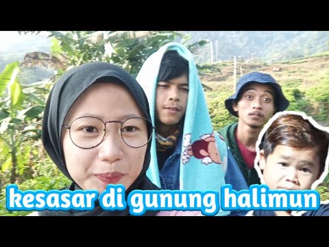 nyasar-di-gunung-halimun-salak-bareng-budak-koceak