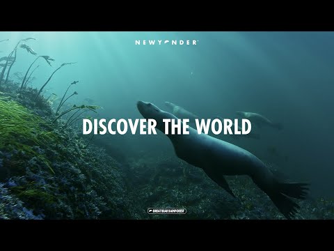 NEWYONDER