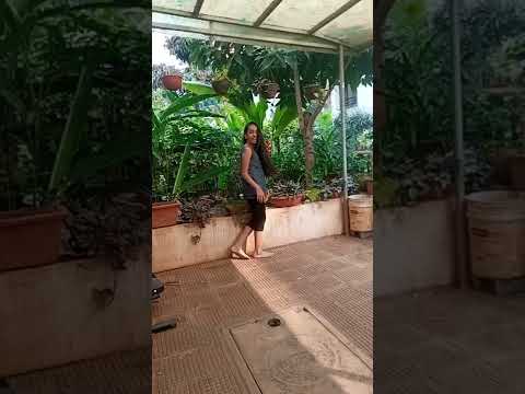 Prachiti home's Garden