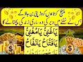 Challenge Karta Hun Koror Pati Ban Joa Ge | Ameer Honay Ka Wazifa | upedia