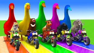 Download lagu 🔴 Makkah Live | مكة مباشر | الحرم المكي مباشر | قناة القران الكريم السعودية مباشر | مكه المكرمه مبا mp3