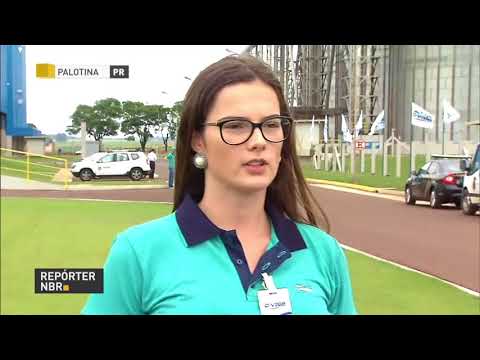 BOLETIM REPÓRTER NBR 20h - 20 de outubro de 2017