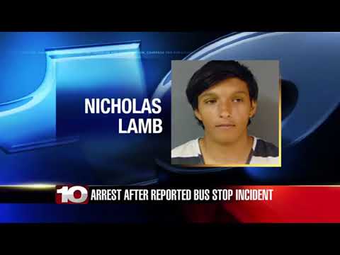 Vermillion County man pointed a gun at a student and school bus, police allege