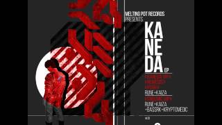 Kaiza & Bassrk - Endemic VIP (feat. Kryptomedic) [DIGIPOT66]