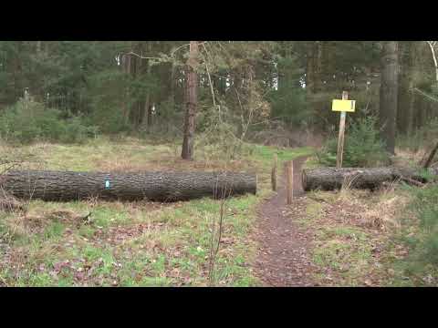 winterwandeling 2022 Wilbertoord