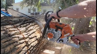 Stihl MS 500i eating some Ash logs.  How will it perform?