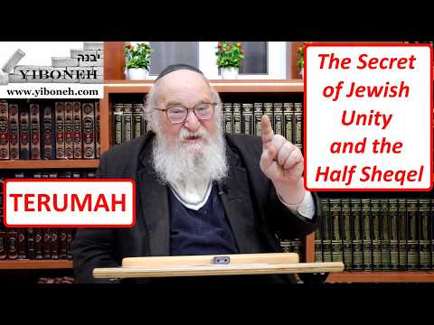 Rav Yitzchak Breitowitz: The Secret of Jewish Unity and the Half Sheqel
